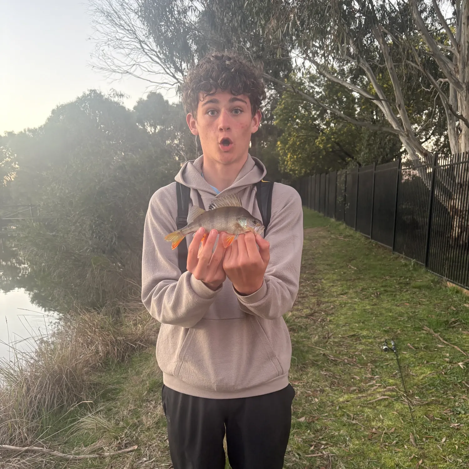European perch caught on Fishbrain