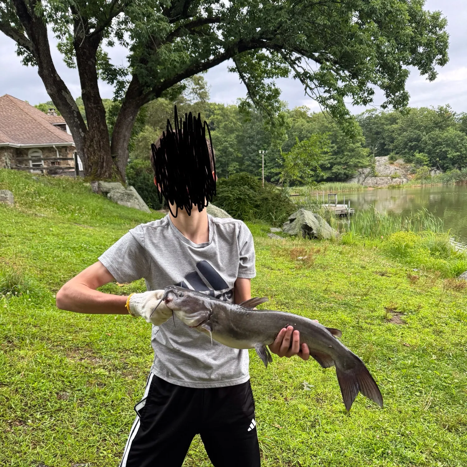 Channel catfish caught on Fishbrain