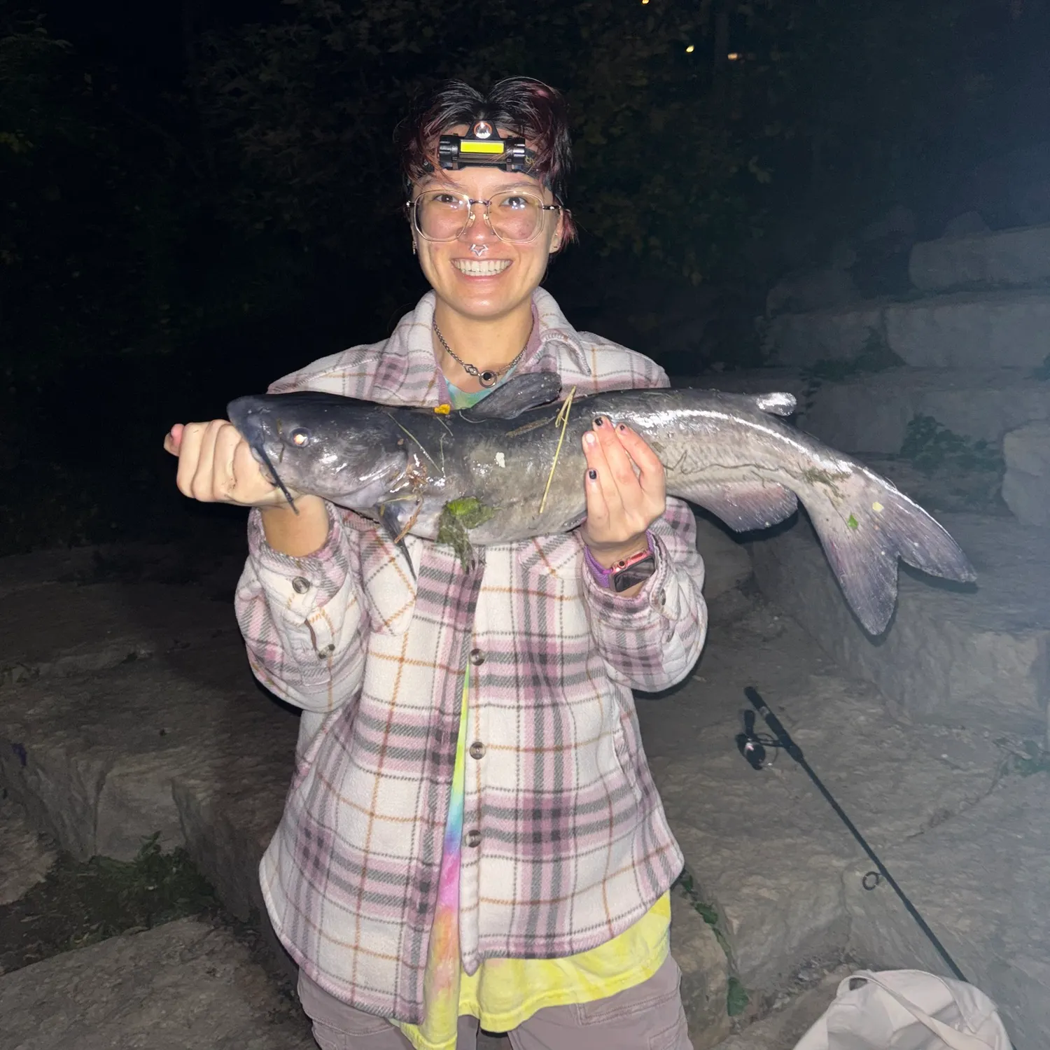 Channel catfish caught on Fishbrain