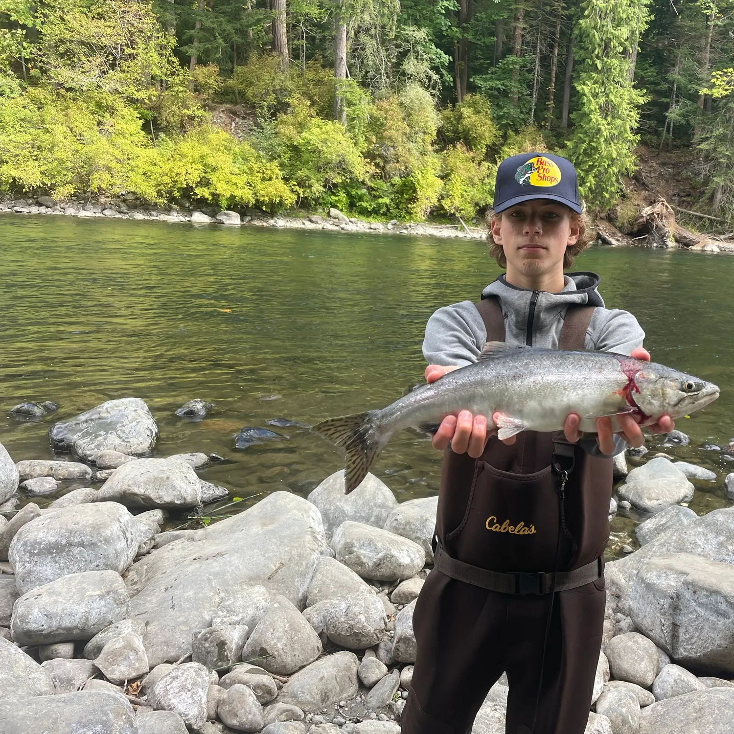 Pink salmon caught on Fishbrain