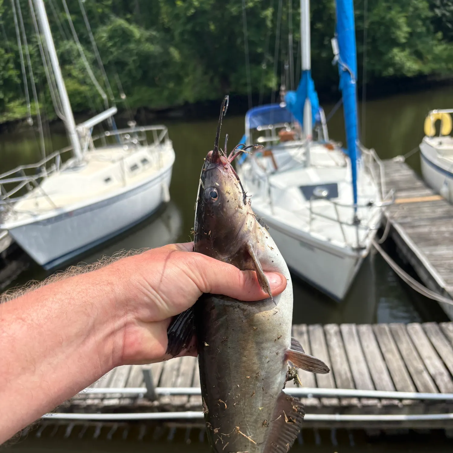 catch