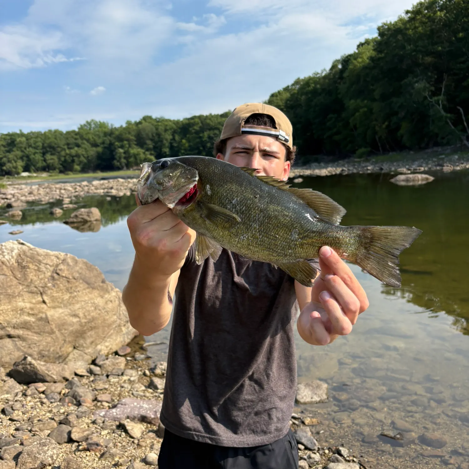 Smallmouth bass caught on Fishbrain