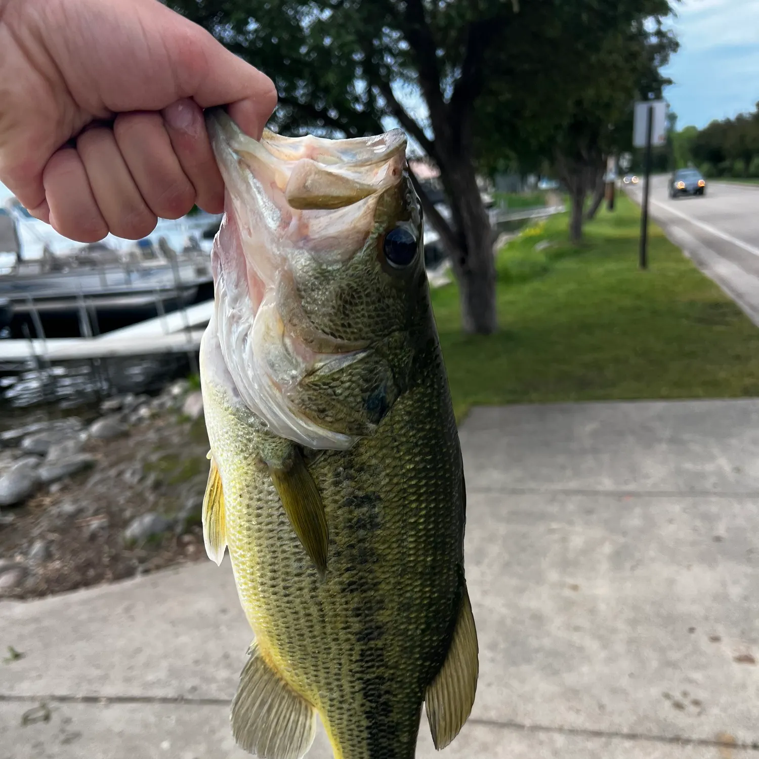 catch