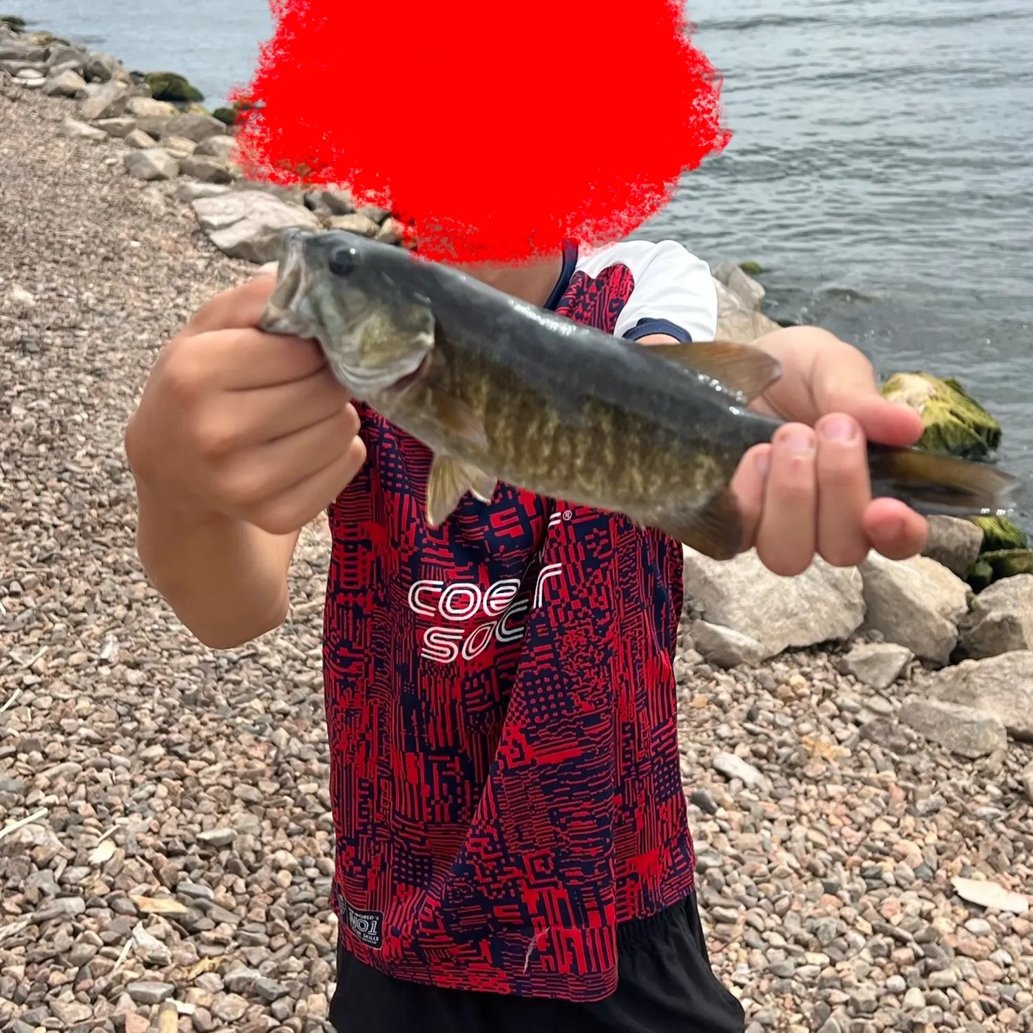 Smallmouth bass caught on Fishbrain