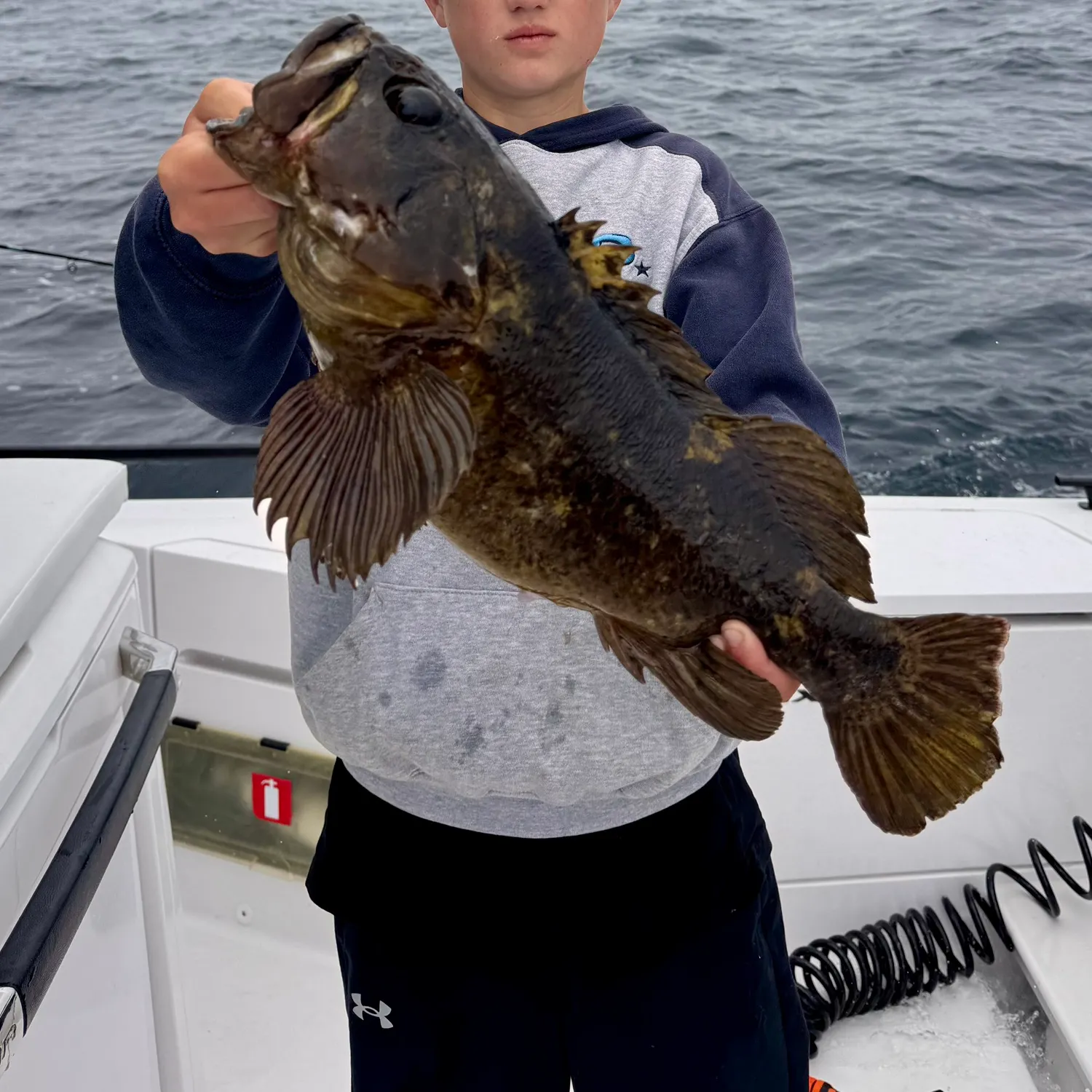 The most recent Grass rockfish catches on Fishbrain