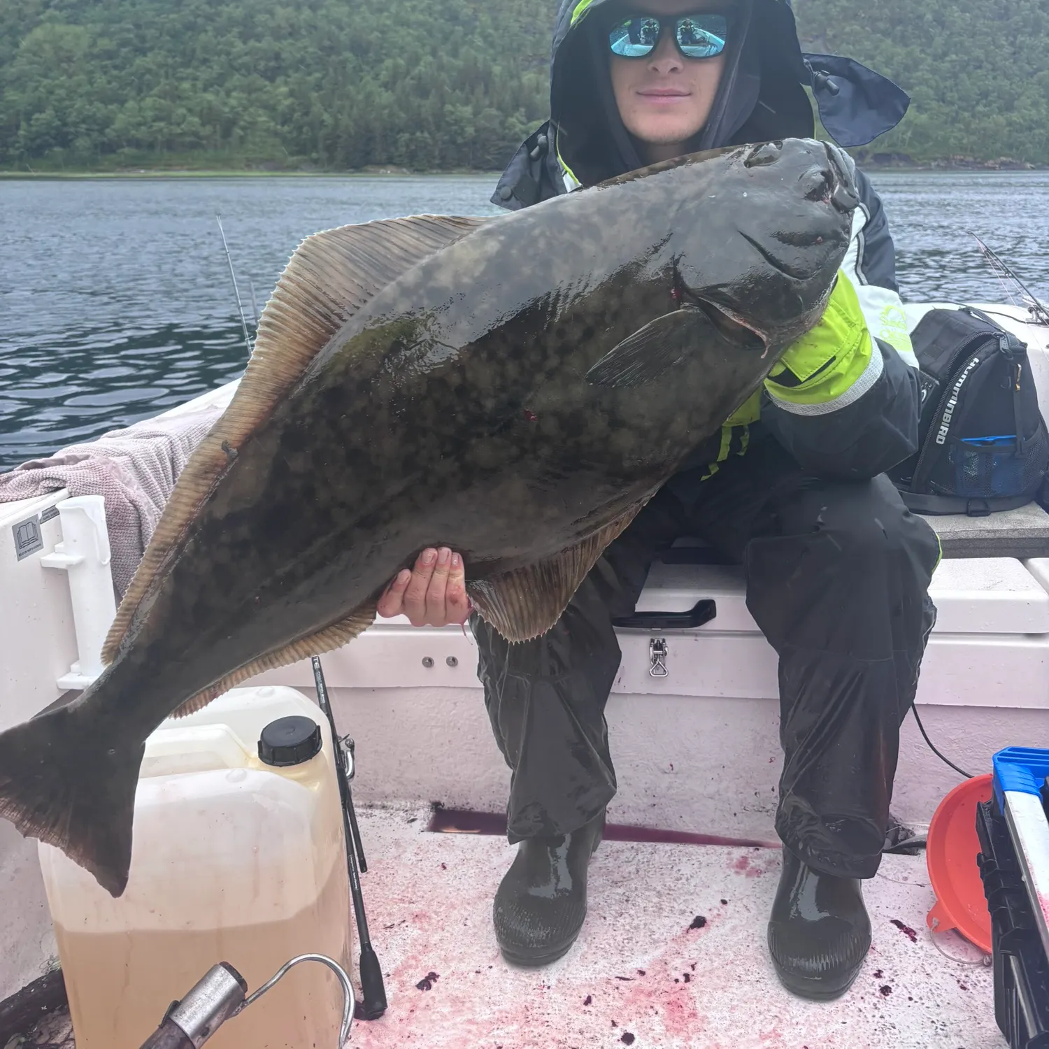 The most recent Atlantic halibut catches on Fishbrain