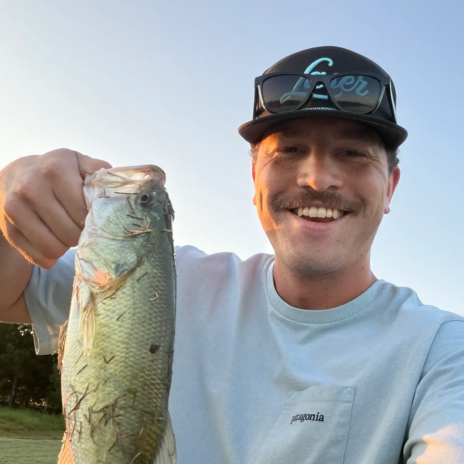 Largemouth bass caught on Fishbrain