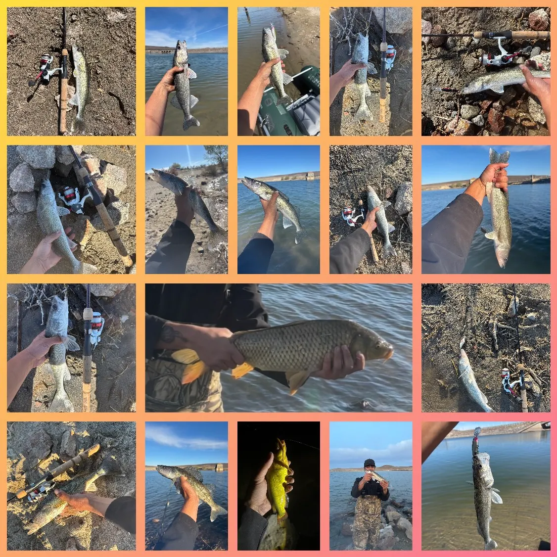 recently logged catches