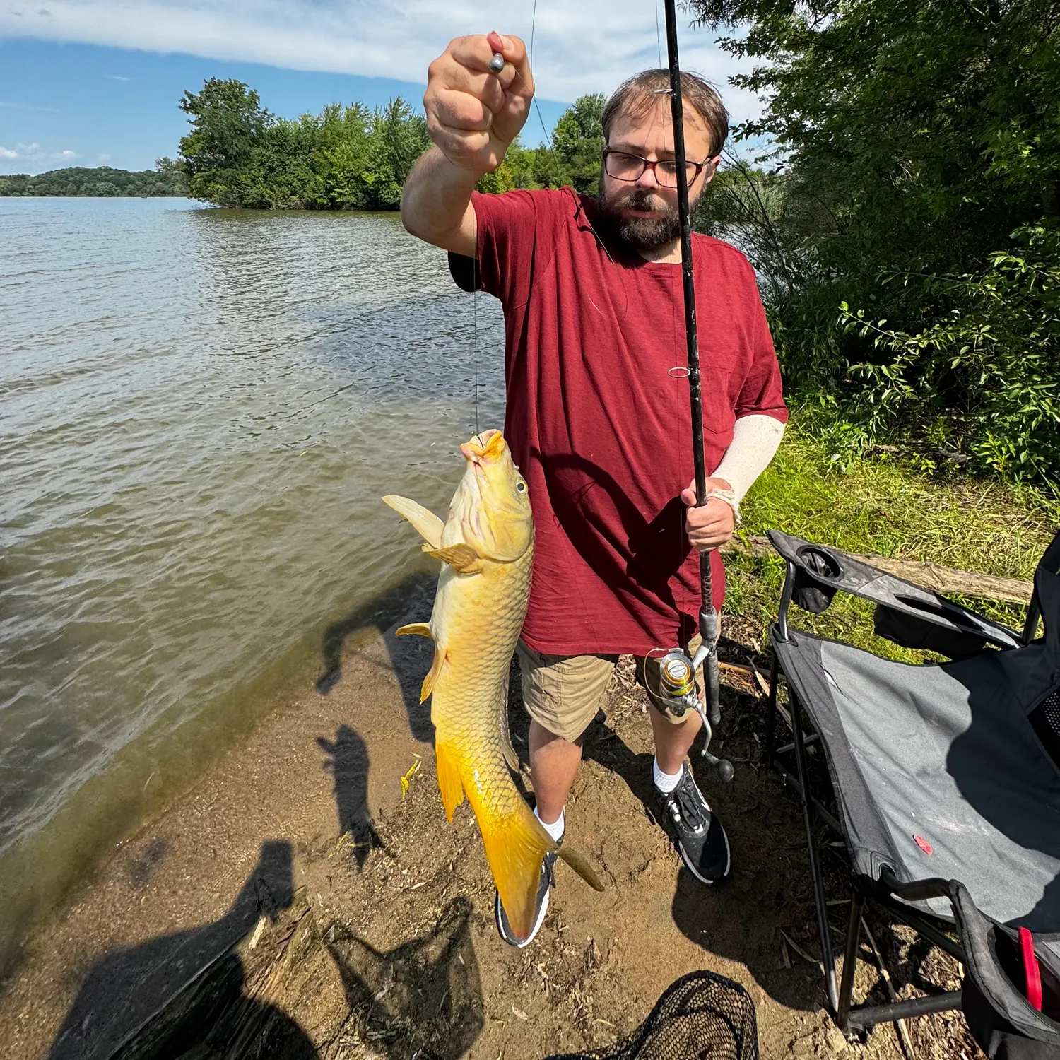 Common carp caught on Fishbrain