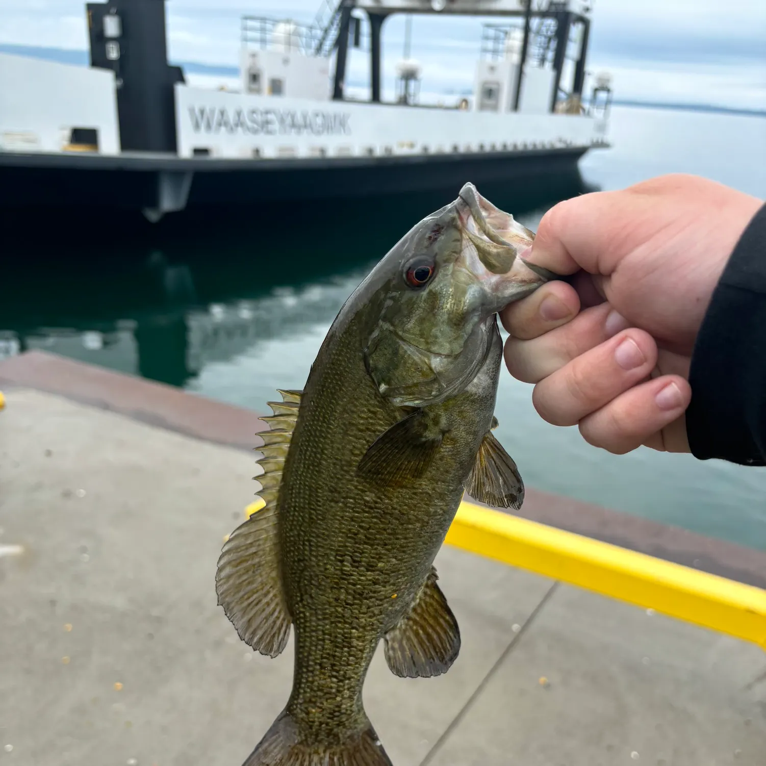 angler catch