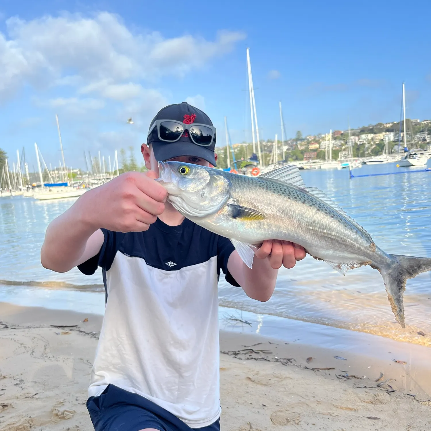 Eastern Australian salmon caught on Fishbrain