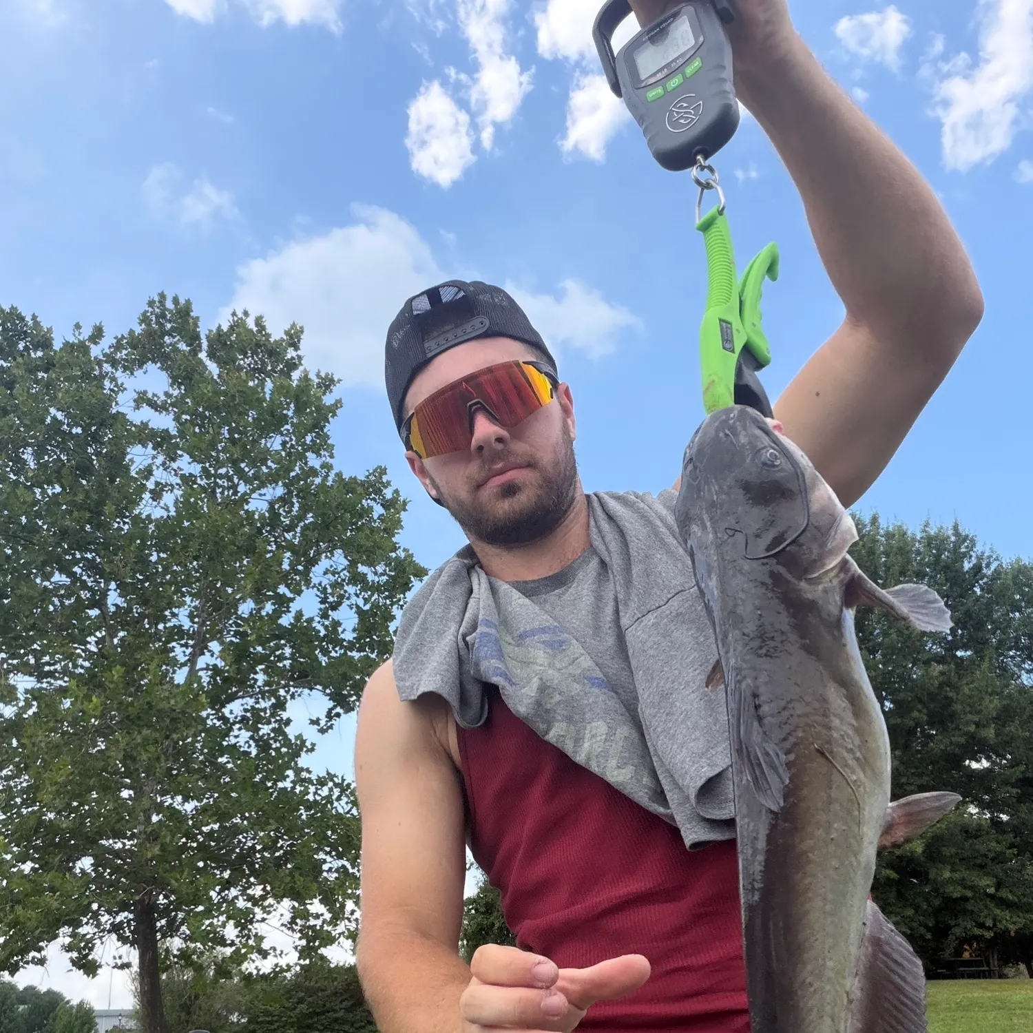 Channel catfish caught on Fishbrain