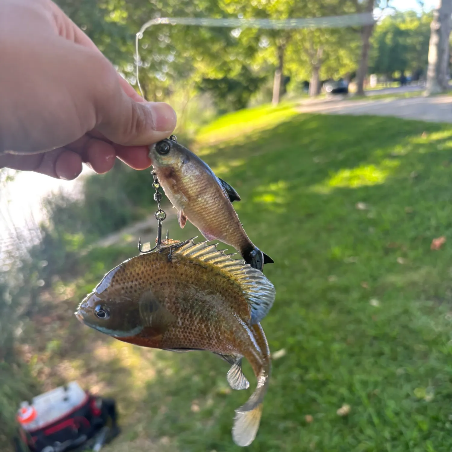 catch