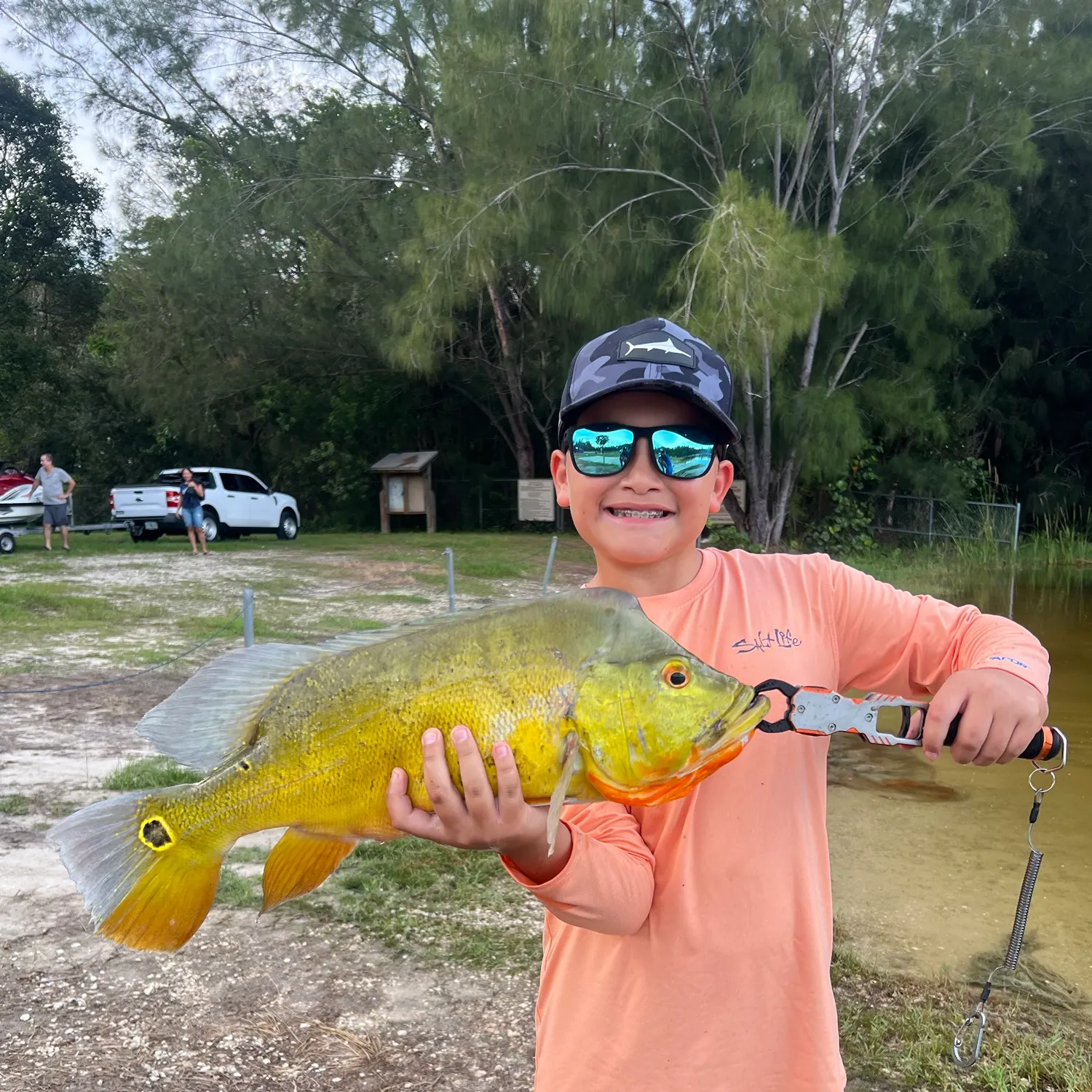 The most recent Butterfly peacock bass catches on Fishbrain