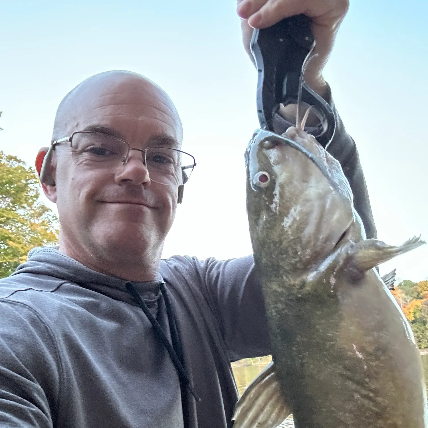 Channel catfish caught on Fishbrain