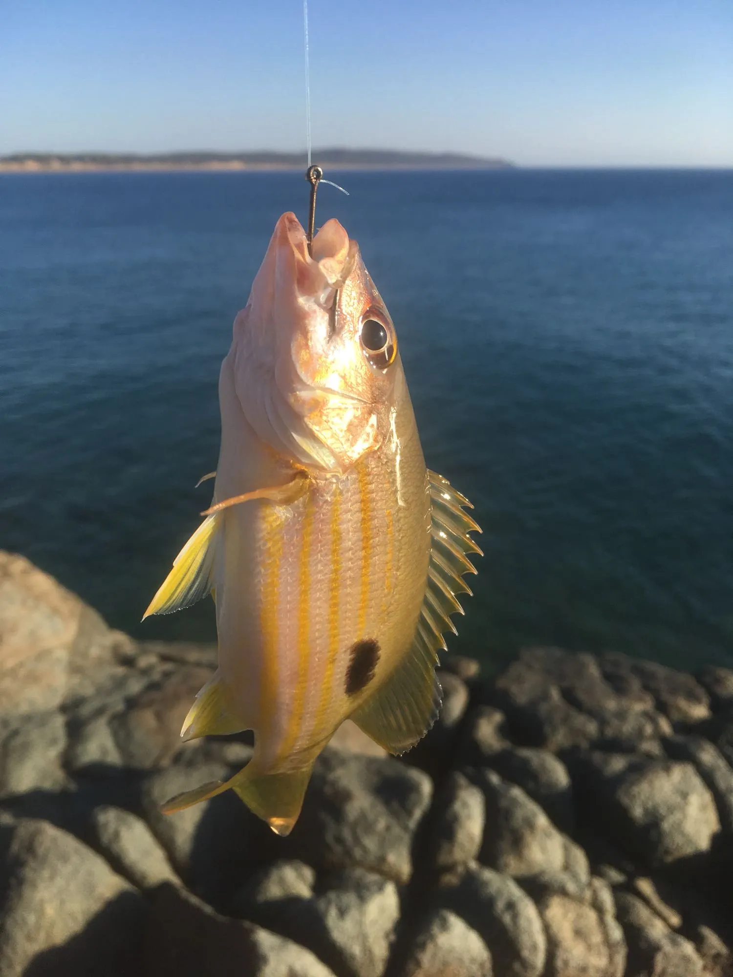 Post image from twebber7903