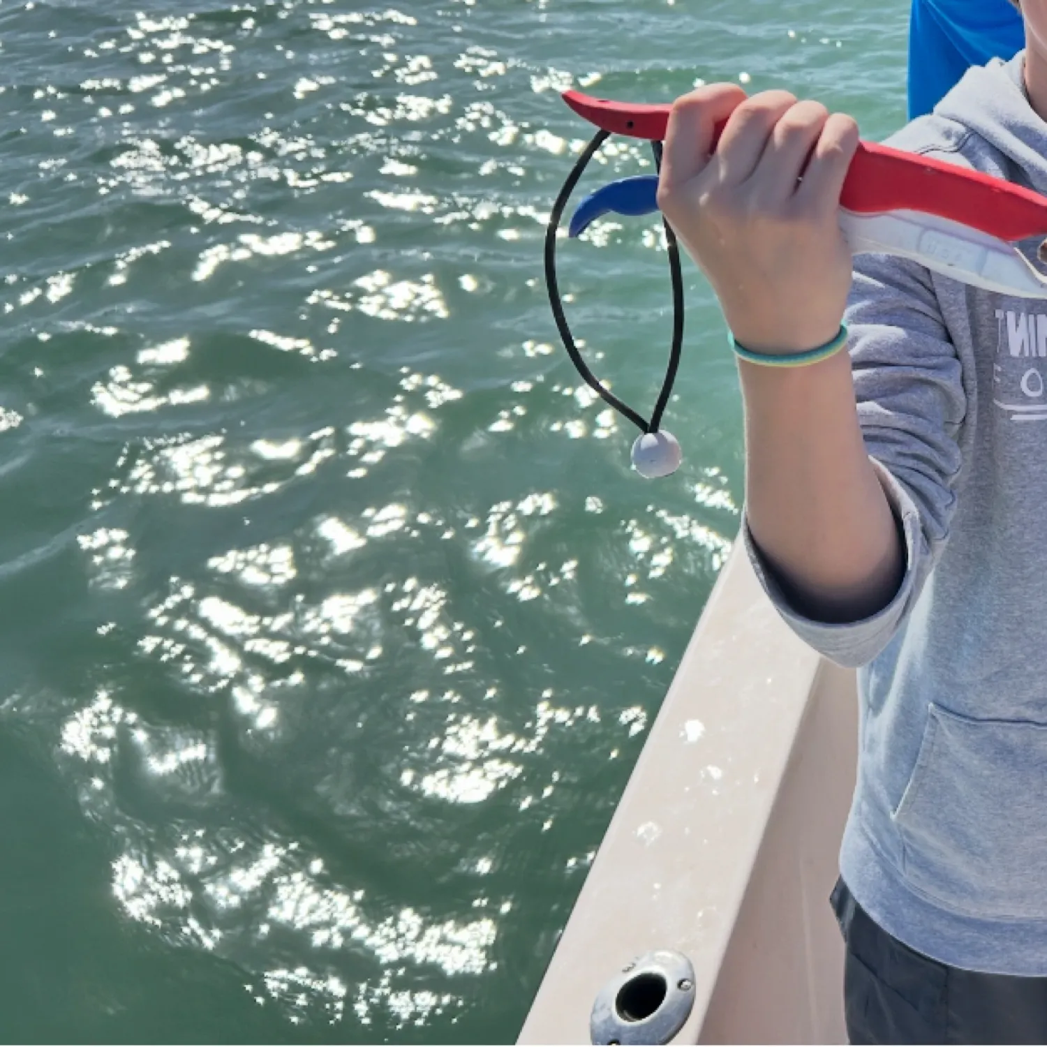 The most recent Gag grouper catches on Fishbrain