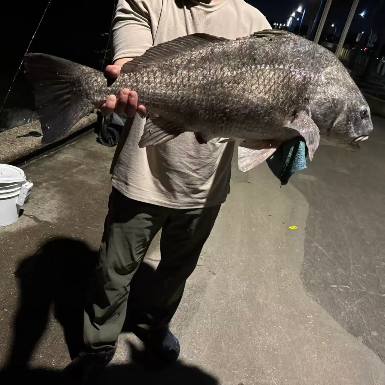 Black drum caught on Fishbrain