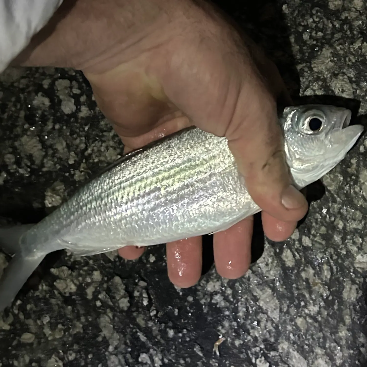 most liked catch image
