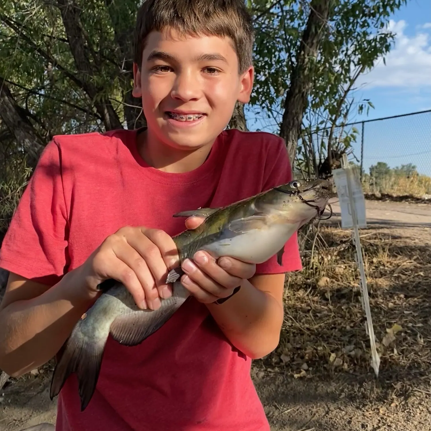Channel catfish caught on Fishbrain