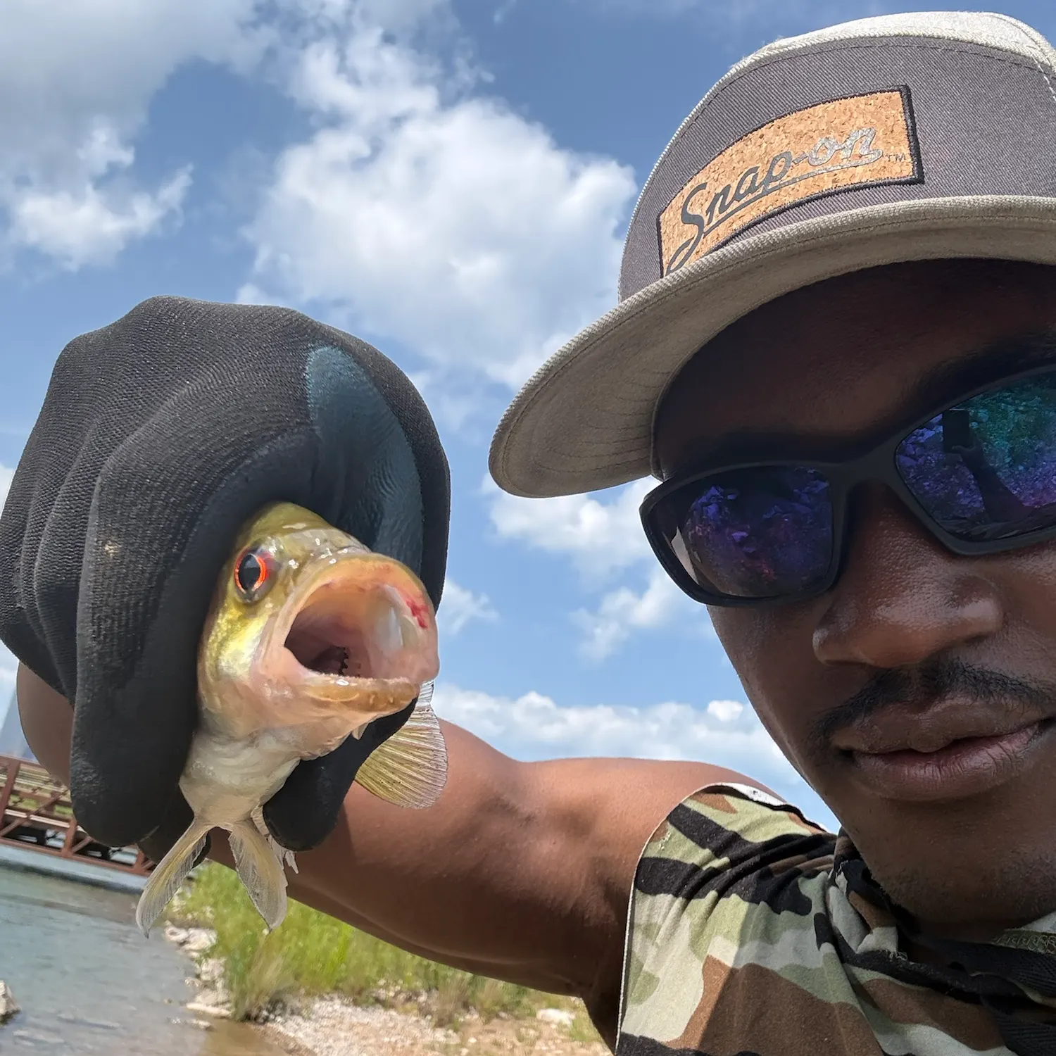 Green sunfish caught on Fishbrain