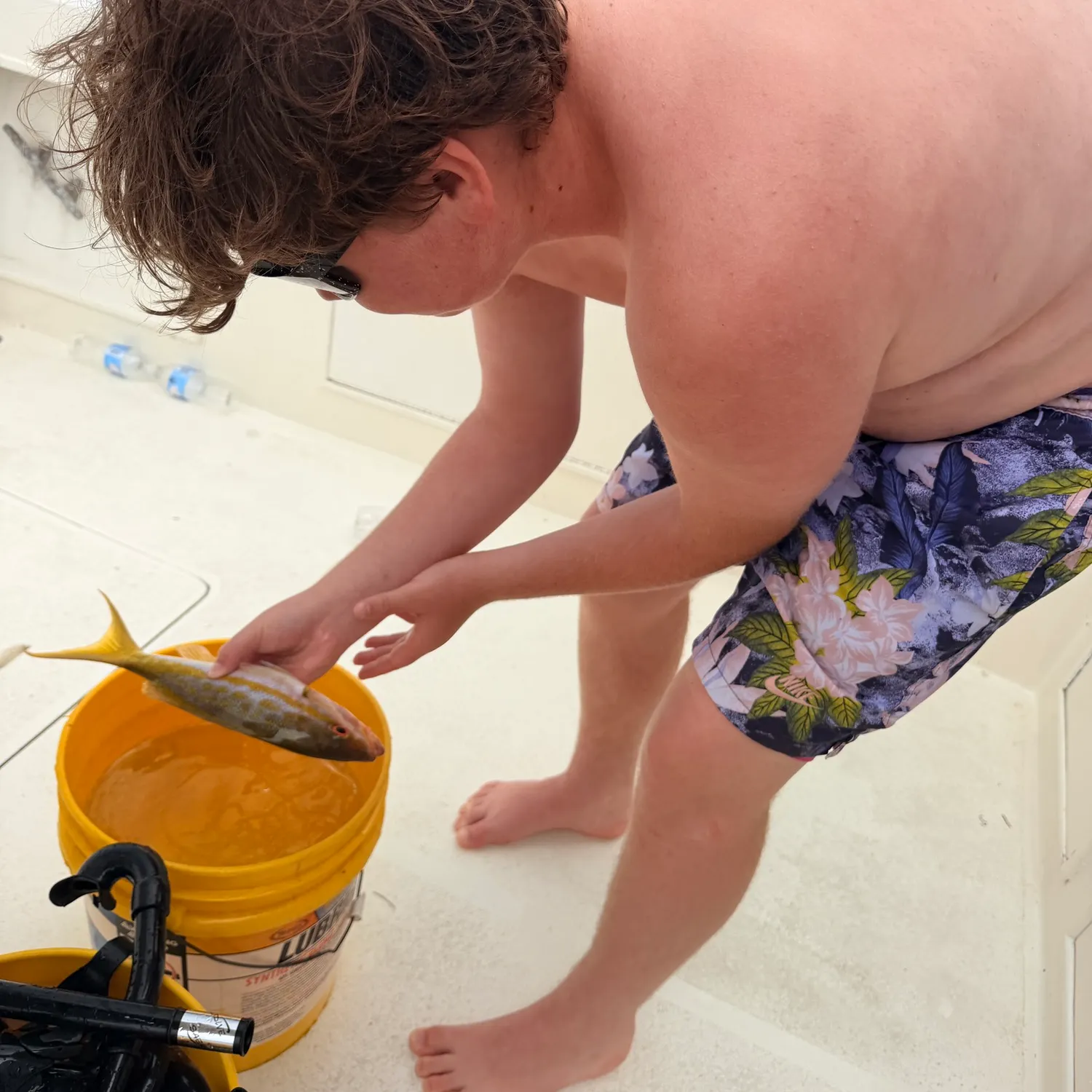 The most recent Yellowtail snapper catches on Fishbrain