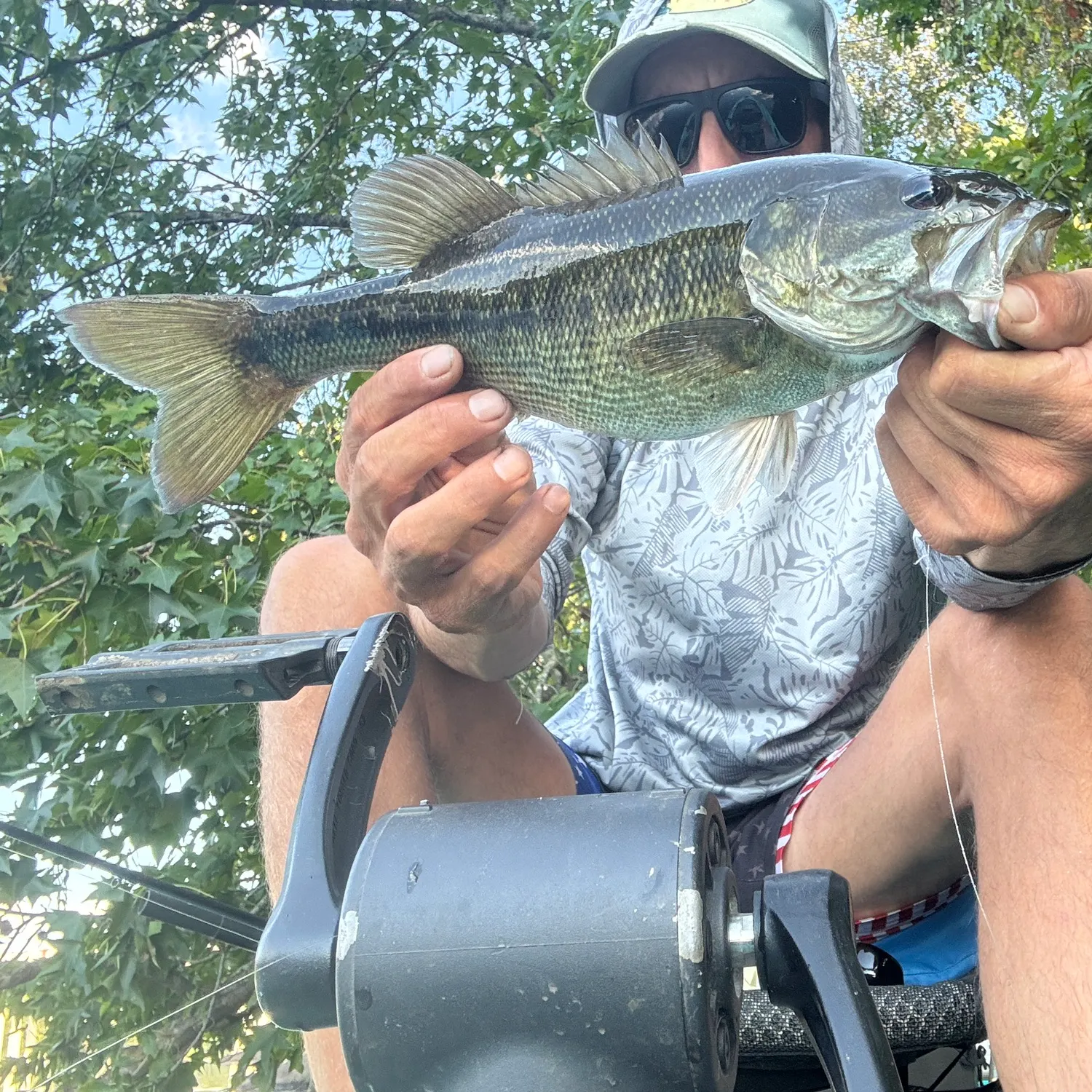 Spotted bass caught on Fishbrain