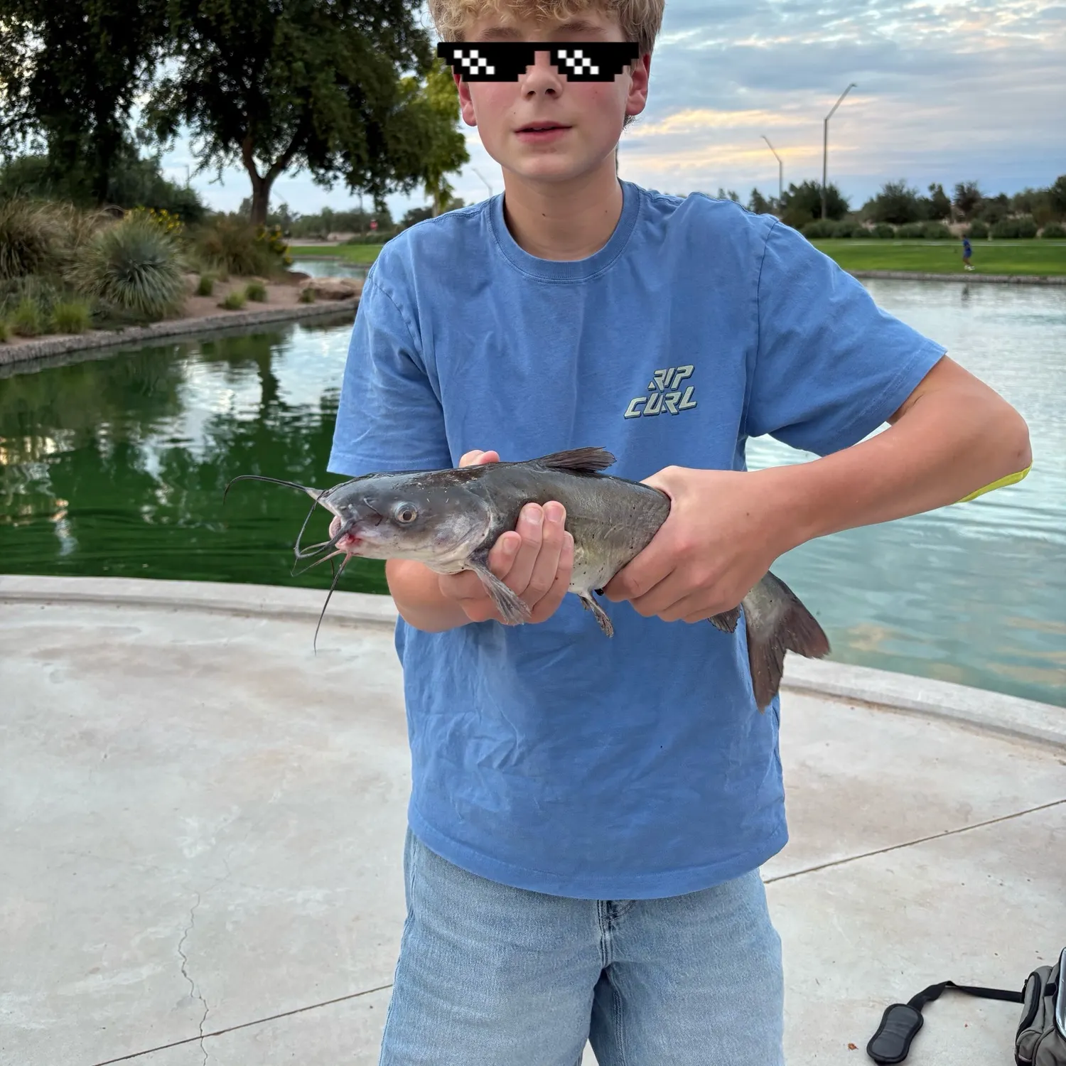 Channel catfish caught on Fishbrain