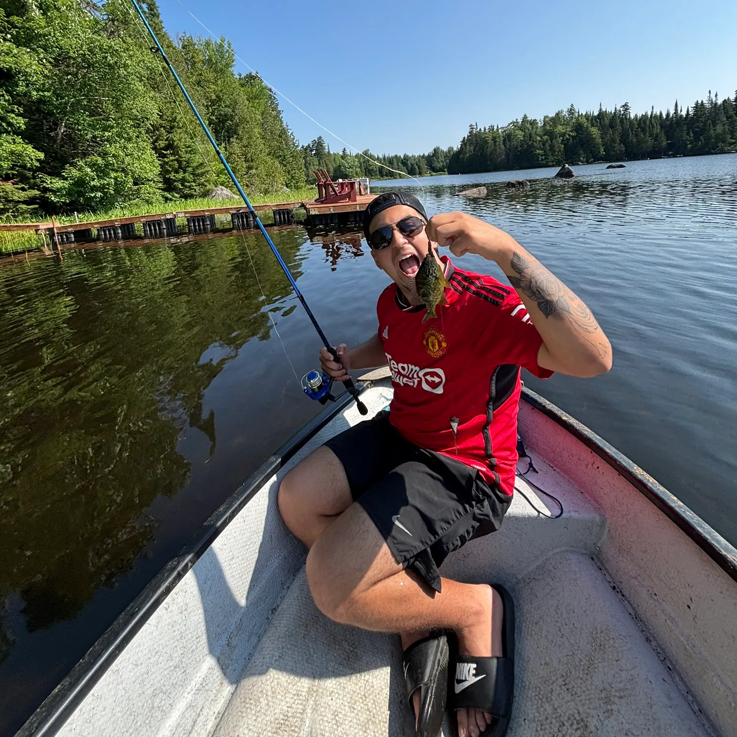 Rock bass caught on Fishbrain