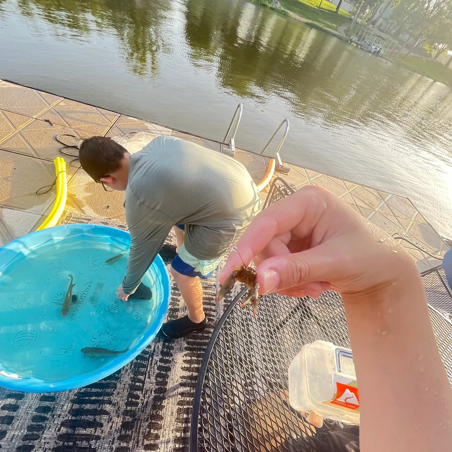 The most recent White River crayfish catches on Fishbrain