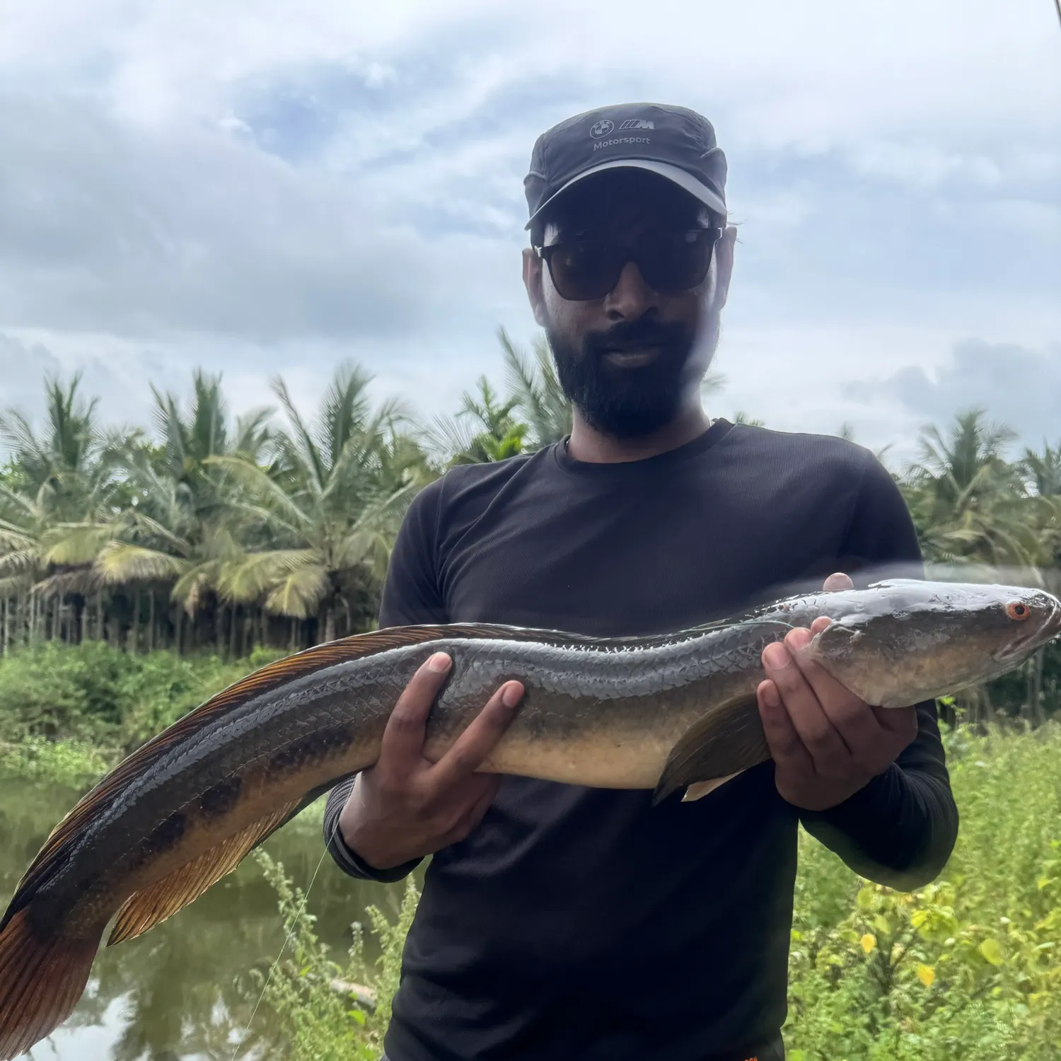 The most recent Bullseye snakehead catches on Fishbrain
