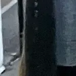 Florida gar caught on Fishbrain