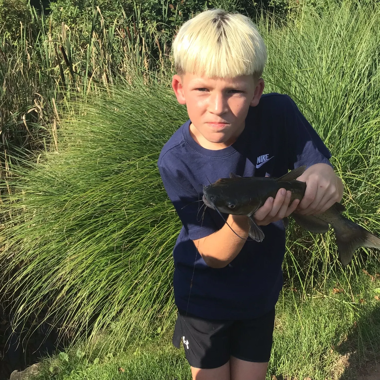 The most recent White bullhead catches on Fishbrain