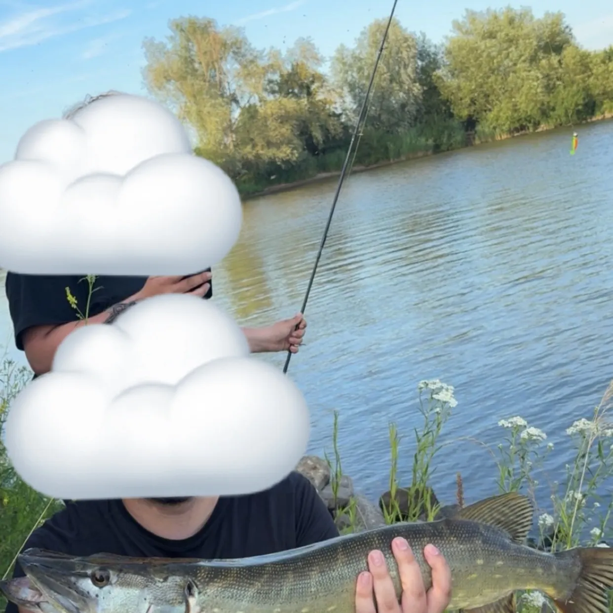 Northern pike caught on Fishbrain