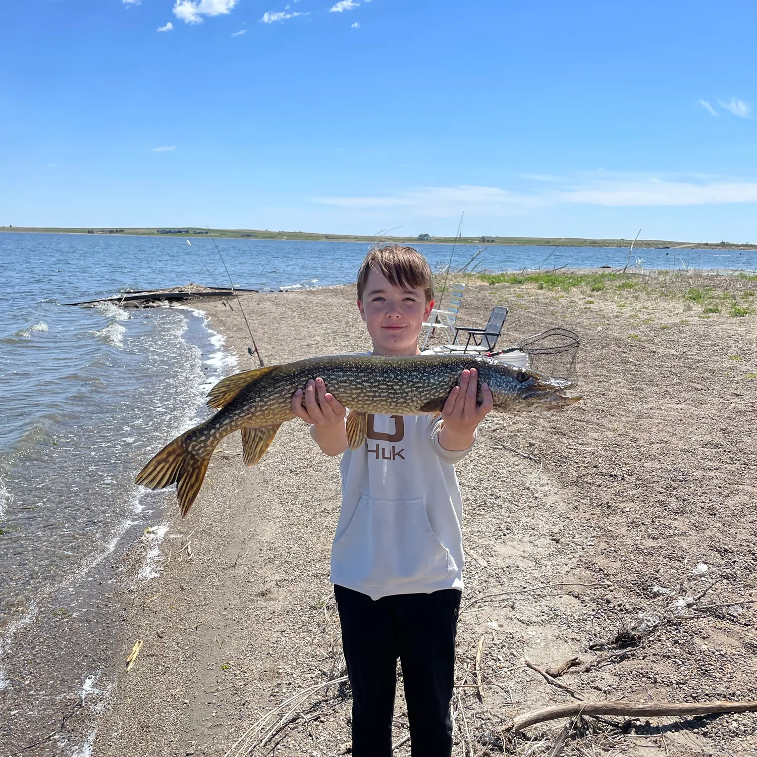 Northern pike caught on Fishbrain