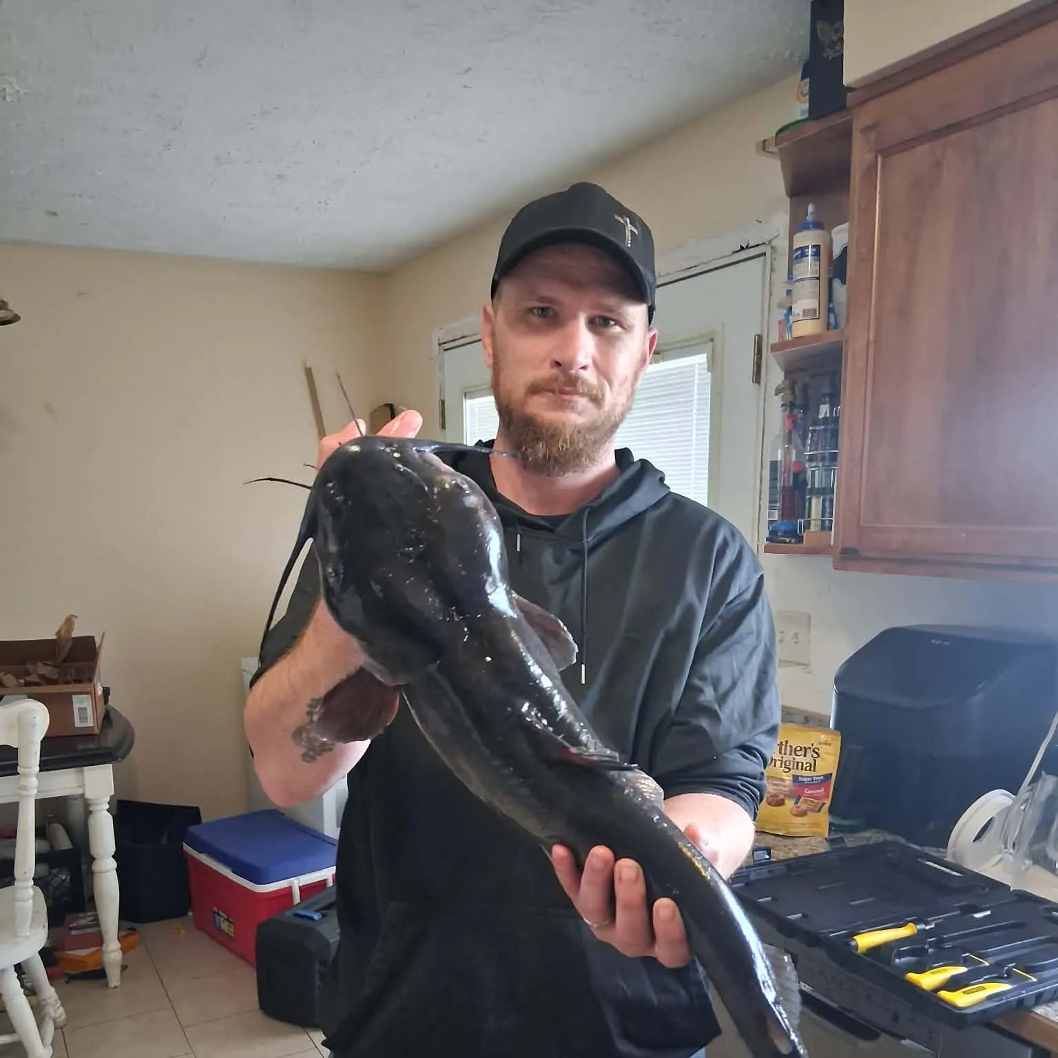 Channel catfish caught on Fishbrain