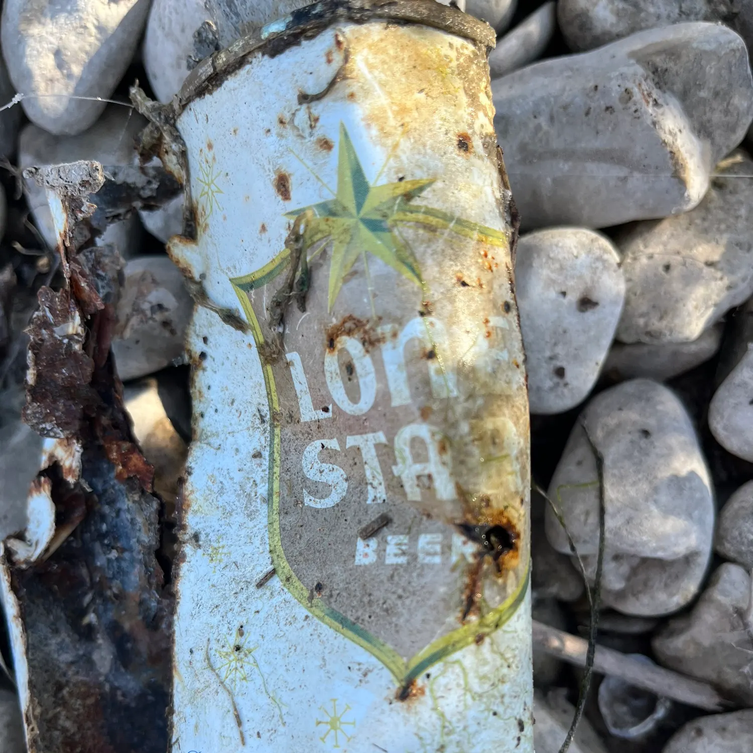 The most recent Redbreast sunfish catches on Fishbrain