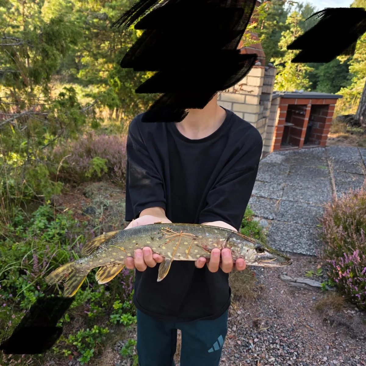 Northern pike caught on Fishbrain