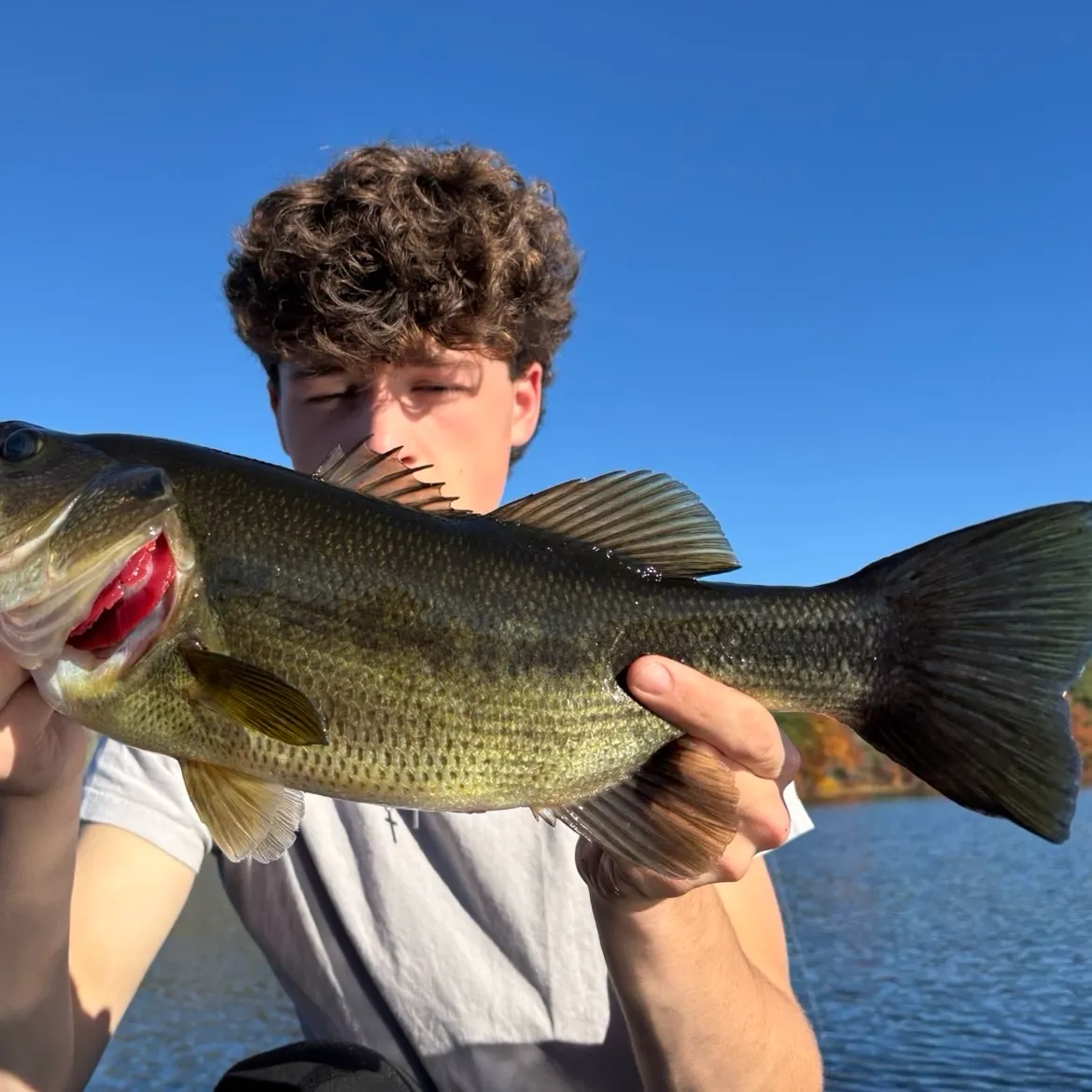 Largemouth bass caught on Fishbrain