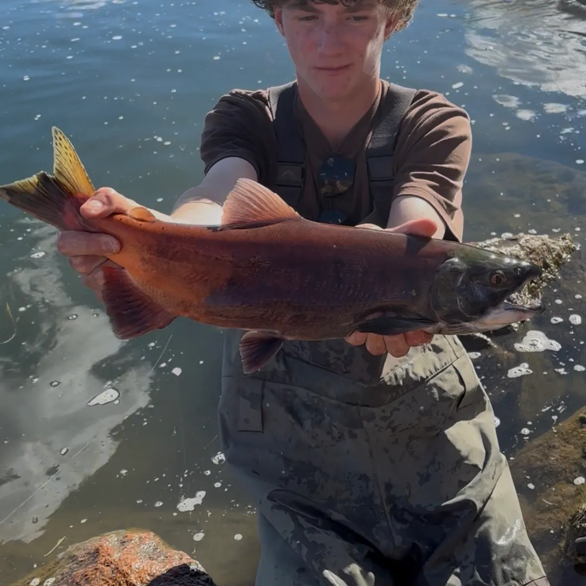 Kokanee salmon caught on Fishbrain