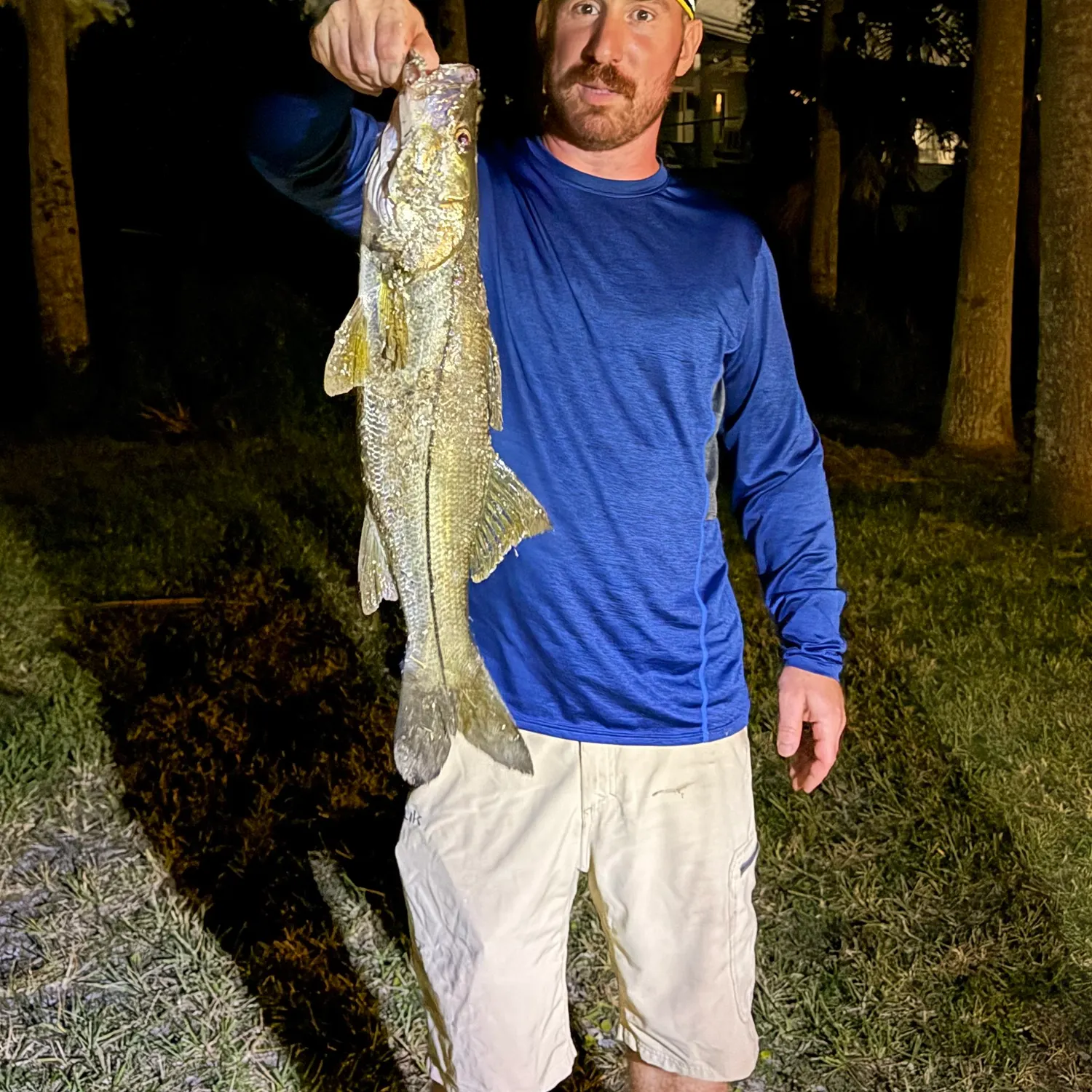 Common snook caught on Fishbrain