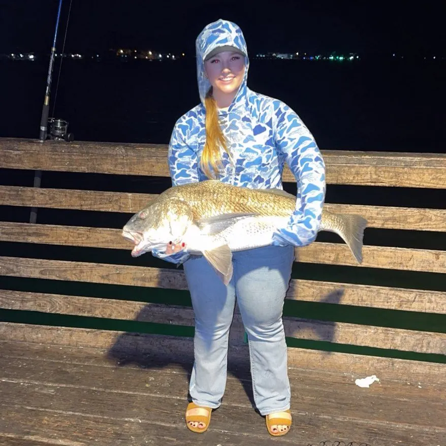 Black drum caught on Fishbrain
