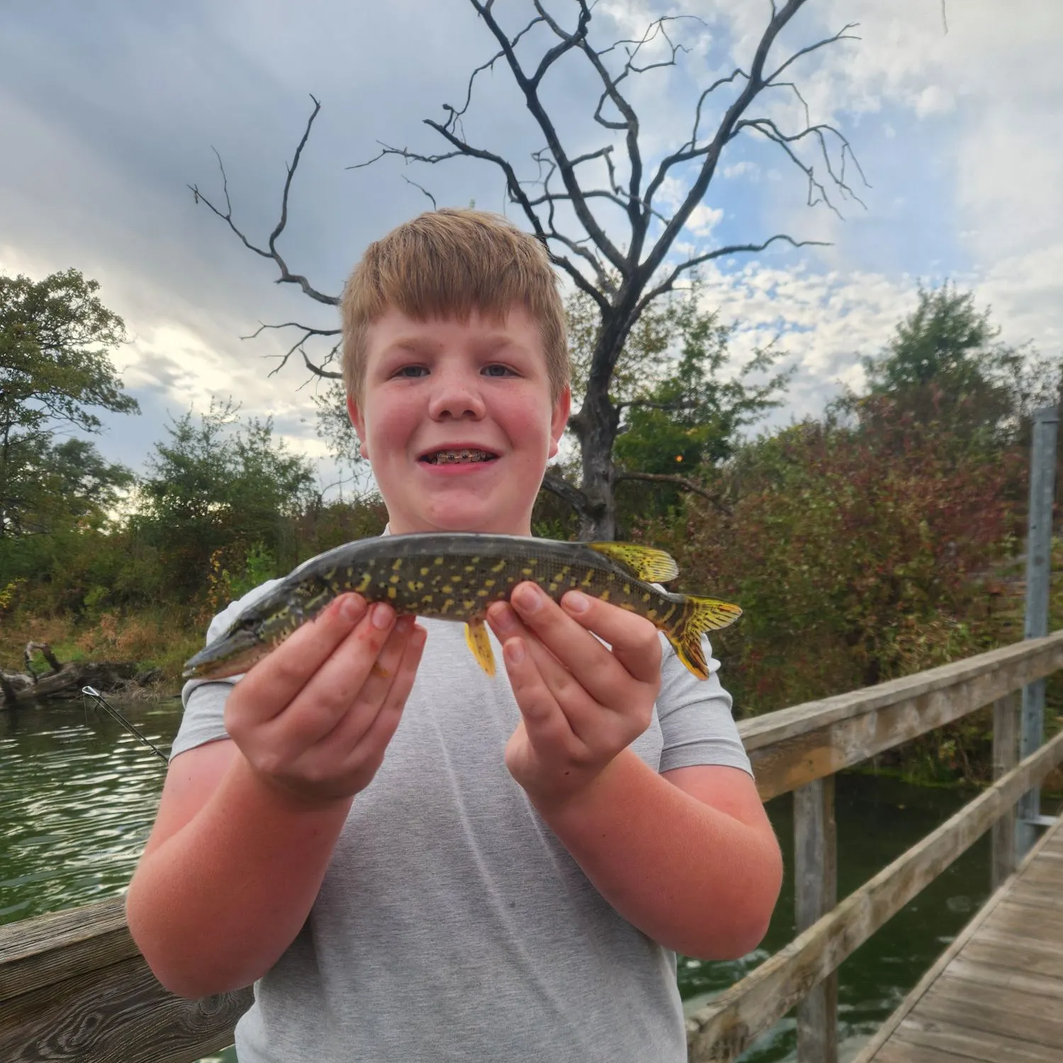 Northern pike caught on Fishbrain