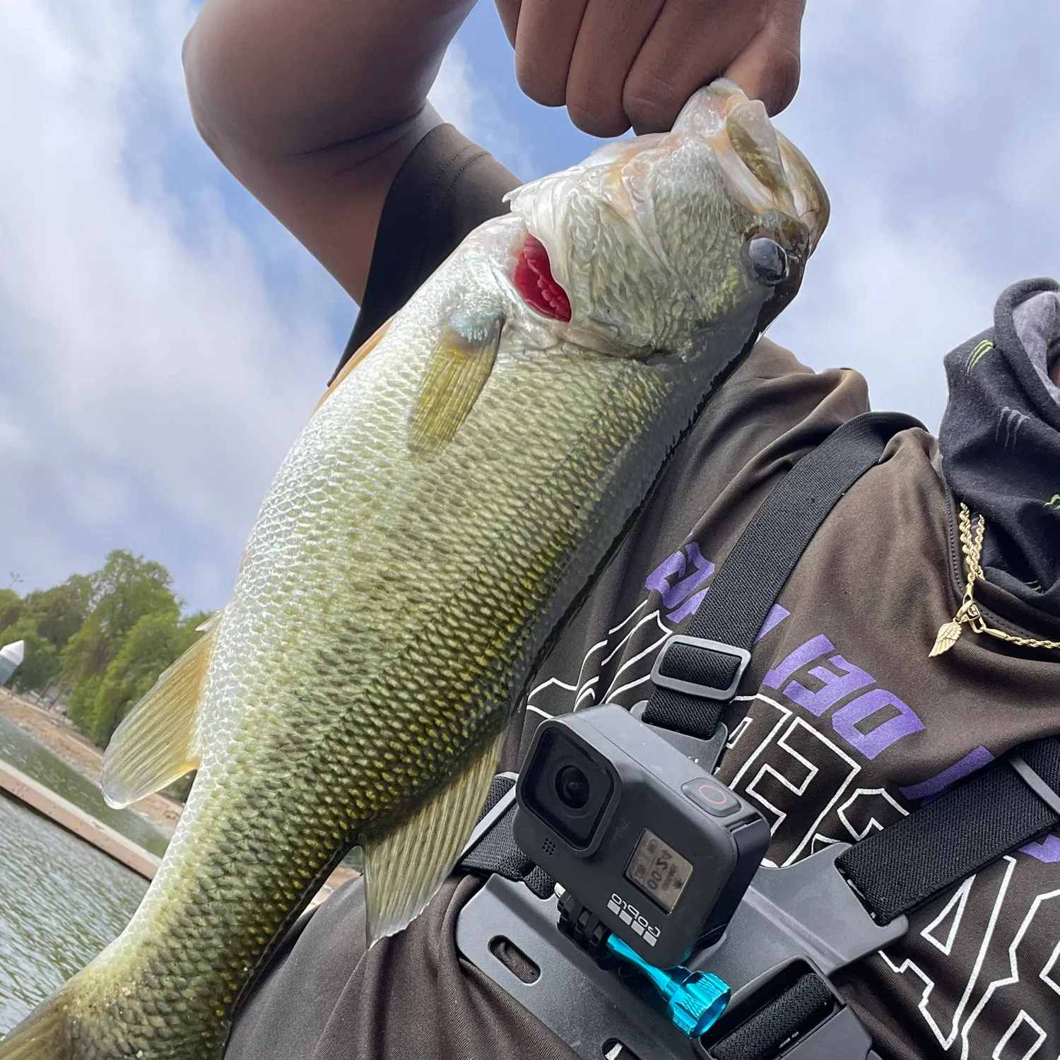 Largemouth bass caught on Fishbrain
