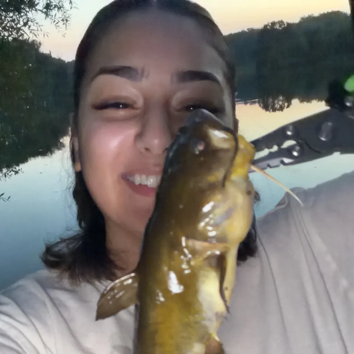 The most recent Yellow bullhead catches on Fishbrain