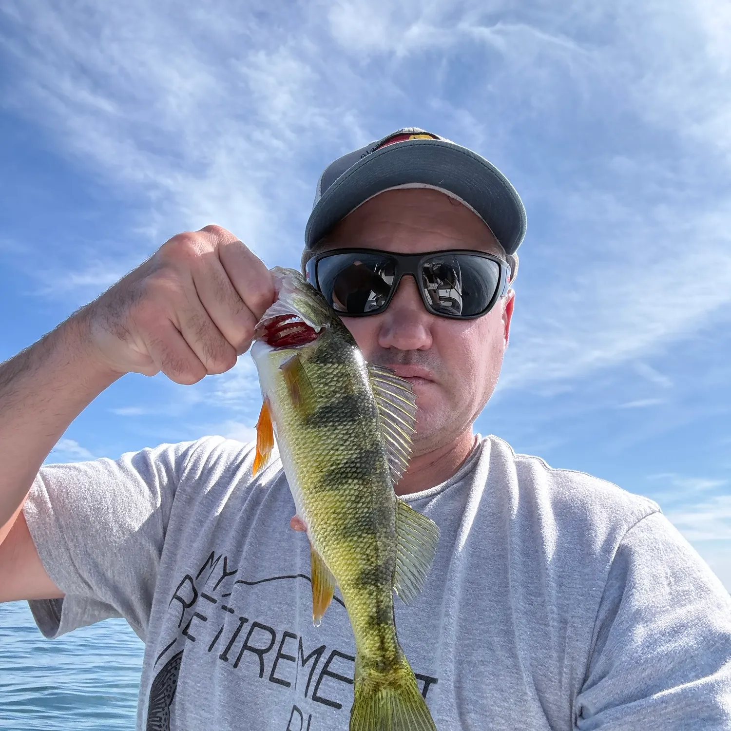 Yellow perch caught on Fishbrain