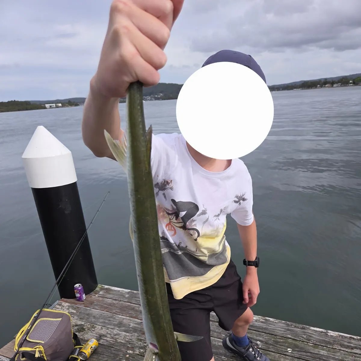 most liked catch image