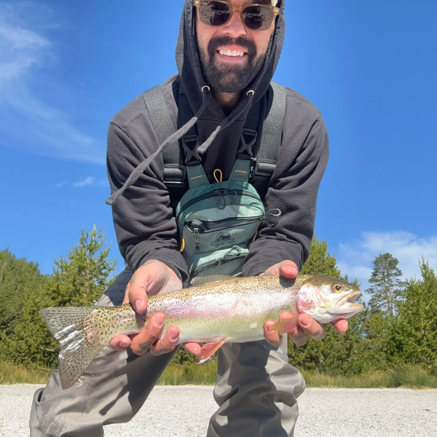 The most recent Cutbow catches on Fishbrain