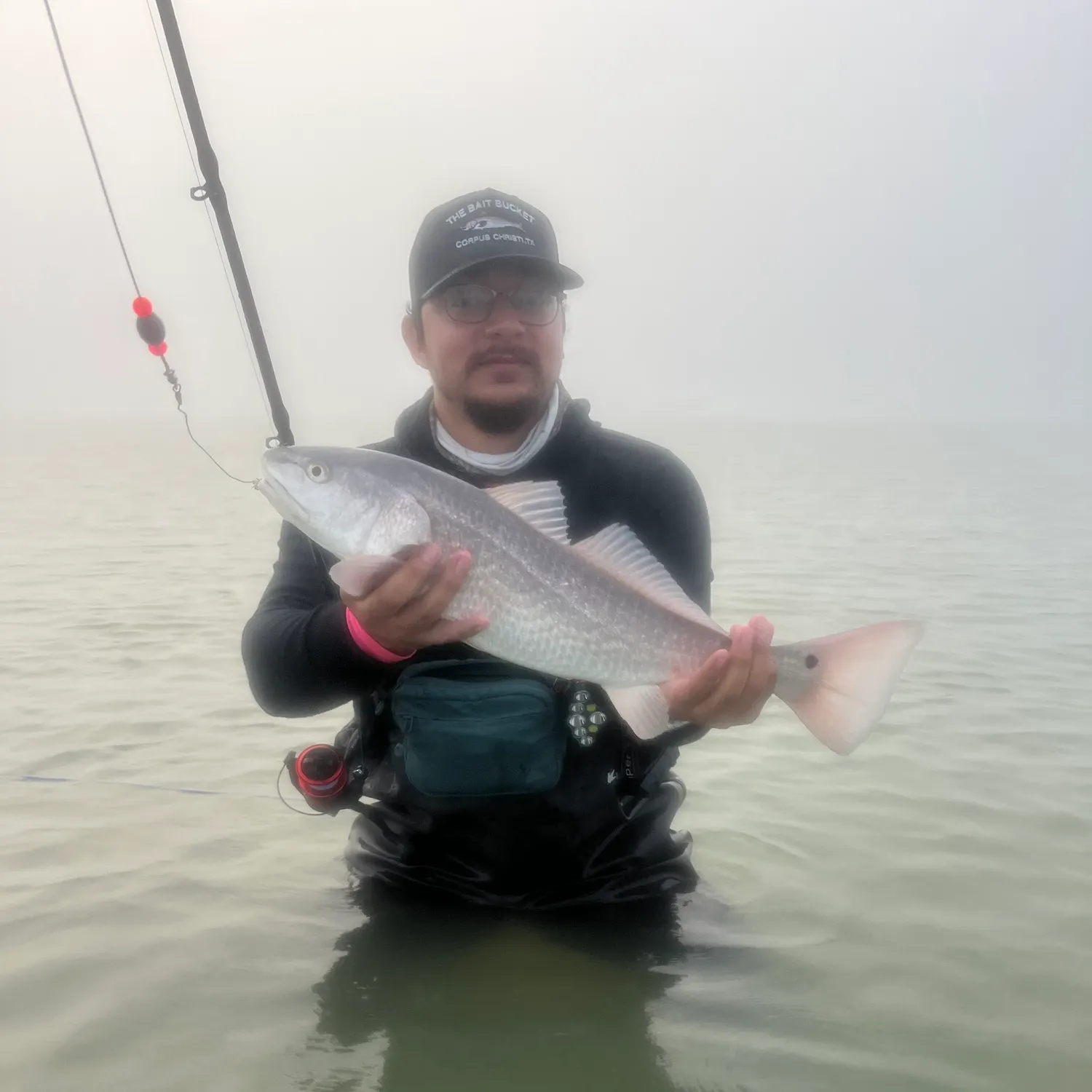 The most recent Red drum catches on Fishbrain