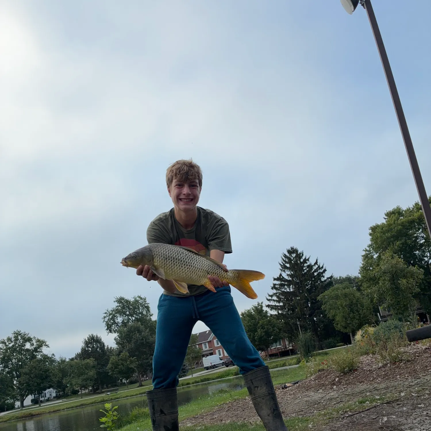Common carp caught on Fishbrain